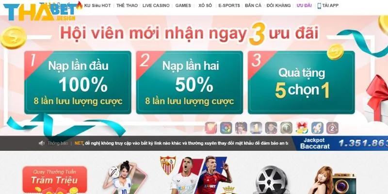 Quy định riêng về chính sách khuyến mãi