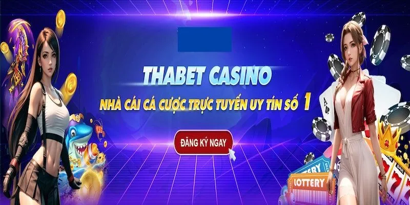 Thông tin chung về nền tảng Thabet